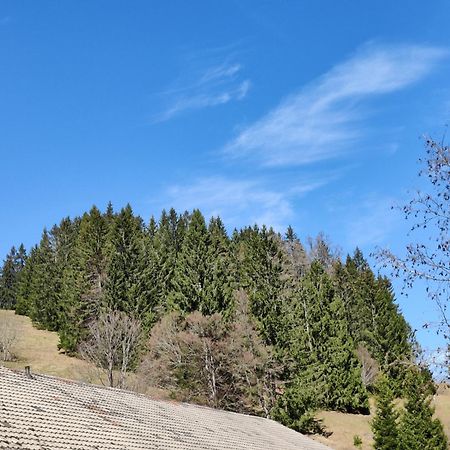 Berggasthaus Prager Boden Todtnau Exterior foto
