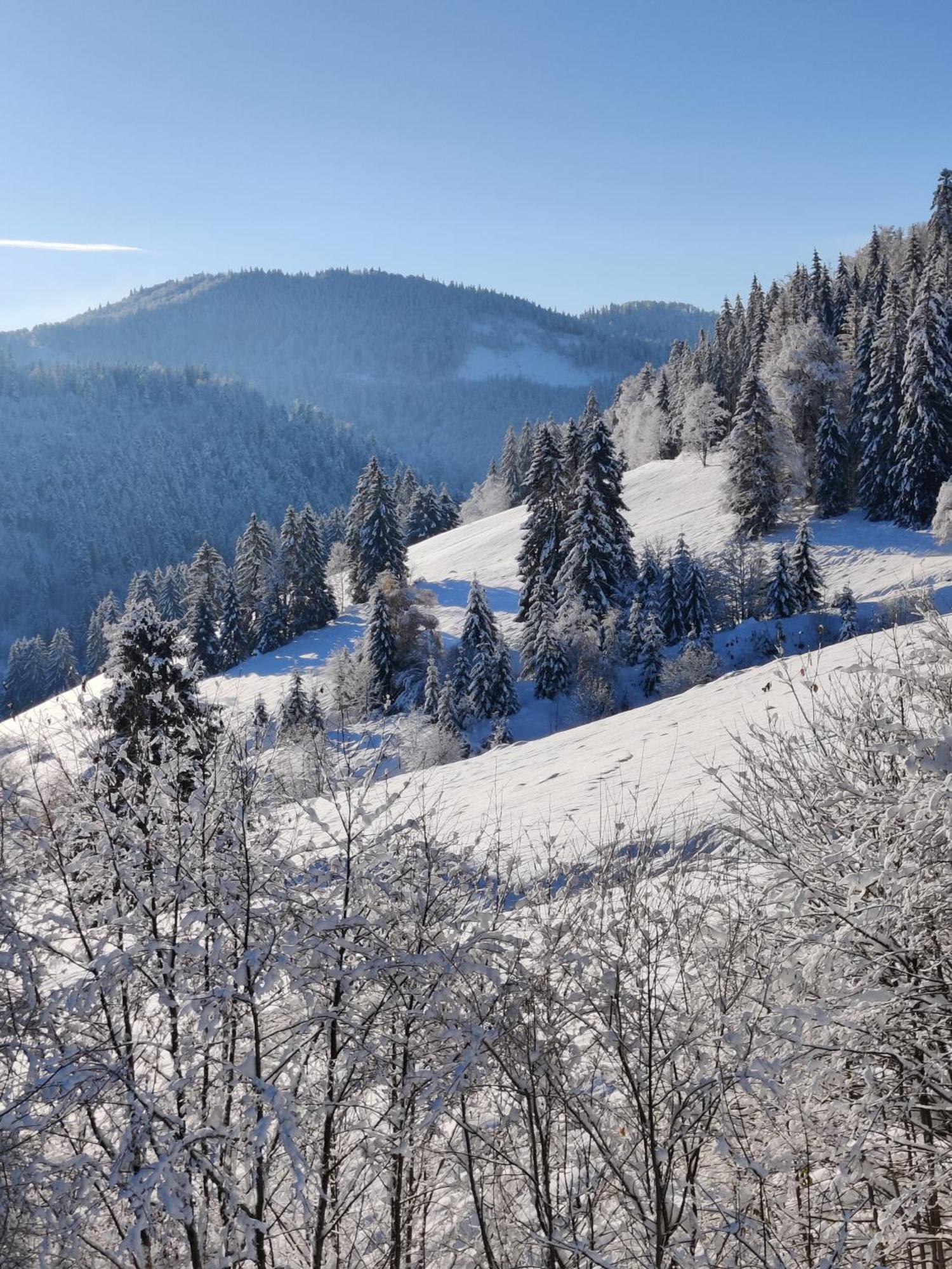 Berggasthaus Prager Boden Todtnau Exterior foto